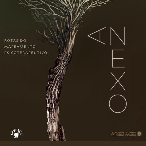 Anexo: Rotas do mapeamento psicoterapêutico