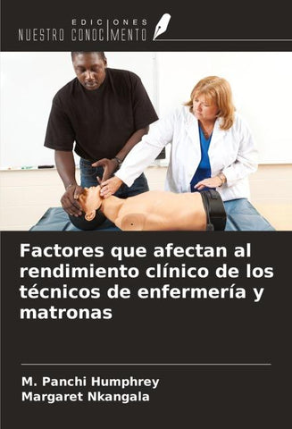 Factores que afectan al rendimiento clínico de los técnicos de enfermería y matronas