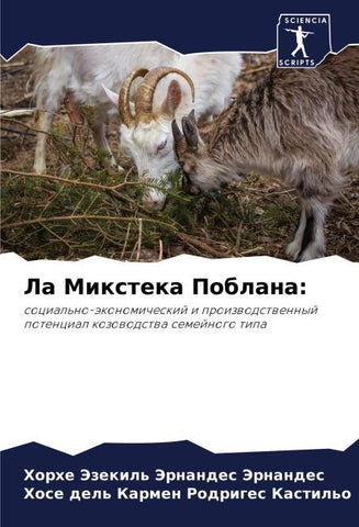 La Mixteka Poblana: