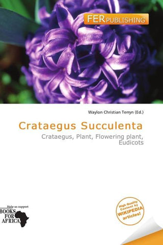Crataegus Succulenta