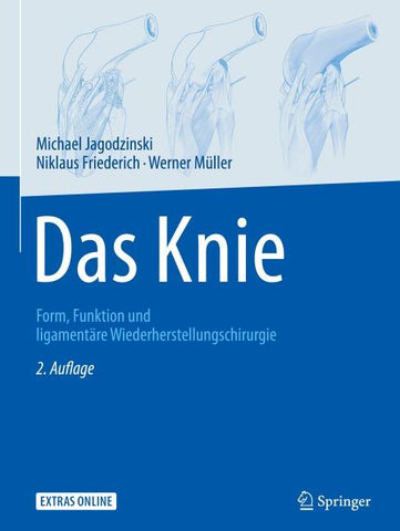 Das Knie