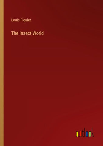 The Insect World