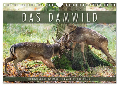 Emotionale Momente: Das Damwild. (Wandkalender 2026 DIN A4 quer), CALVENDO Monatskalender