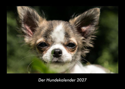 Der Hundekalender 2027 Fotokalender DIN A3