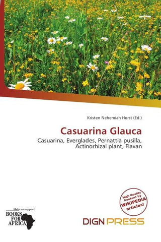 Casuarina Glauca