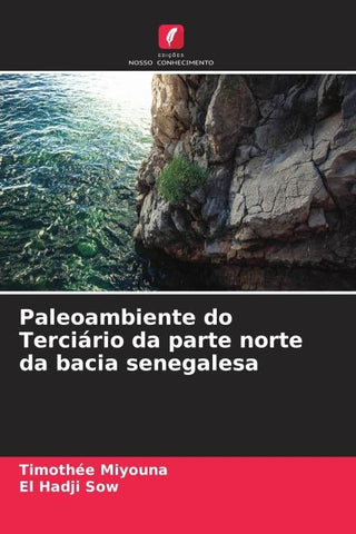 Paleoambiente do Terciário da parte norte da bacia senegalesa
