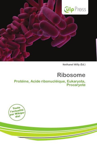 Ribosome