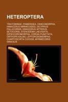Heteroptera
