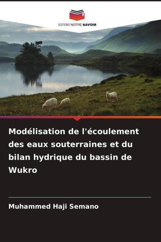 Modélisation de l'écoulement des eaux souterraines et du bilan hydrique du bassin de Wukro