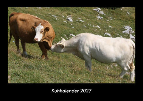 Kuhkalender 2027 Fotokalender DIN A3