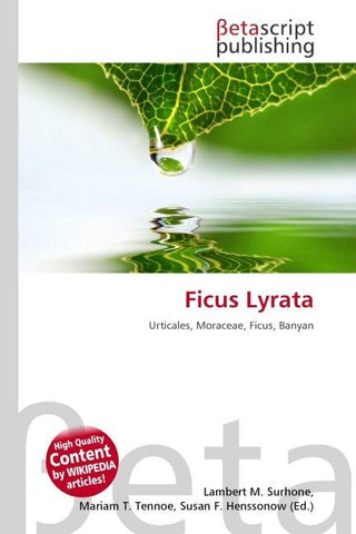 Ficus Lyrata