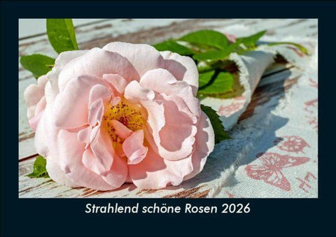 Strahlend schöne Rosen 2026 Fotokalender DIN A5