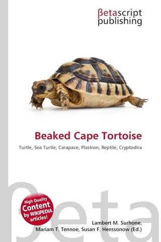 Beaked Cape Tortoise
