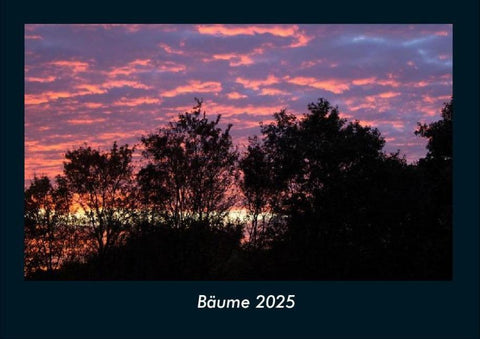 Bäume 2025 Fotokalender DIN A4