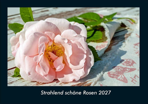 Strahlend schöne Rosen 2027 Fotokalender DIN A4