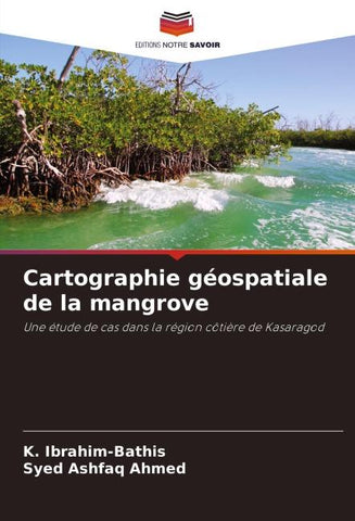Cartographie géospatiale de la mangrove