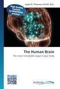 The Human Brain