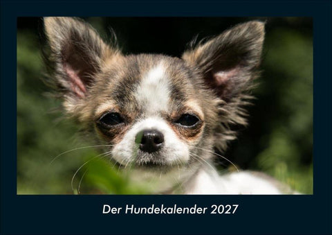 Der Hundekalender 2027 Fotokalender DIN A4