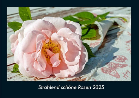 Strahlend schöne Rosen 2025 Fotokalender DIN A4