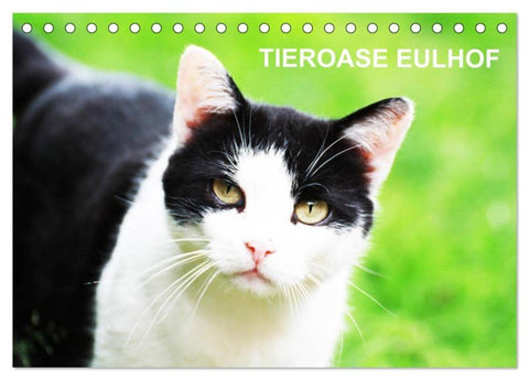 Eulhof (Tischkalender 2026 DIN A5 quer), CALVENDO Monatskalender