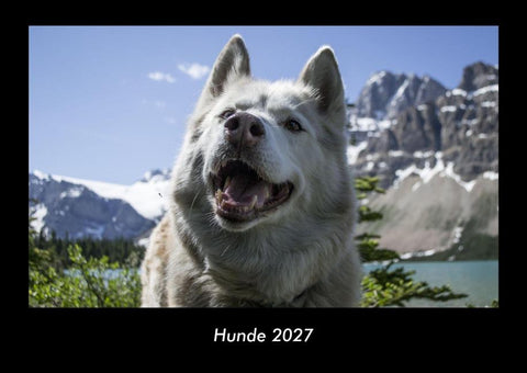 Hunde 2027 Fotokalender DIN A3