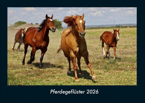 Pferdegeflüster 2026 Fotokalender DIN A4