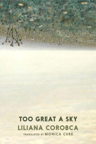 Too Great A Sky