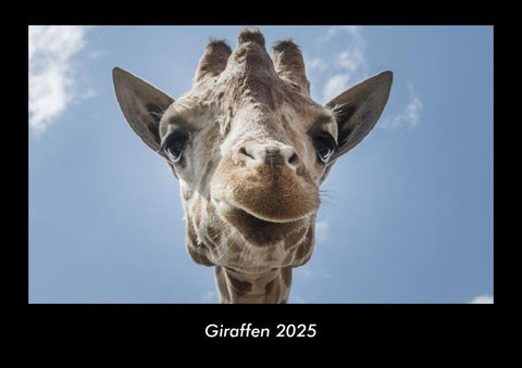 Giraffen 2025 Fotokalender DIN A3