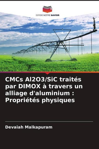 CMCs Al2O3/SiC traités par DIMOX à travers un alliage d'aluminium : Propriétés physiques