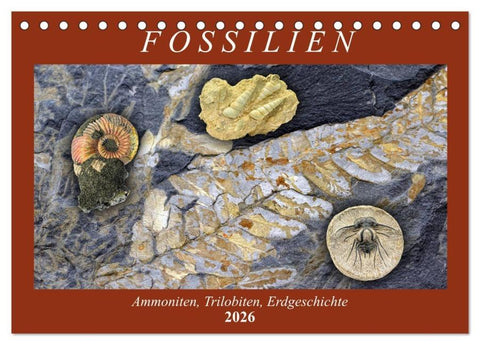 Fossilien - Ammoniten, Trilobiten, Erdgeschichte (Tischkalender 2026 DIN A5 quer), CALVENDO Monatskalender