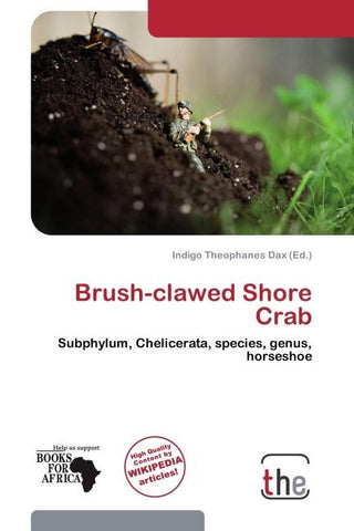 Brush-clawed Shore Crab