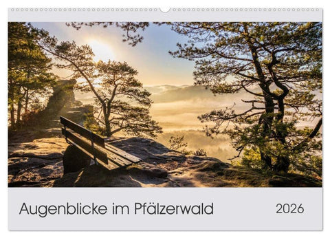 Augenblicke im Pfälzerwald (Wandkalender 2026 DIN A2 quer), CALVENDO Monatskalender