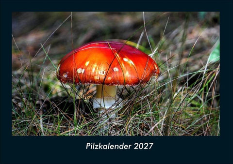 Pilzkalender 2027 Fotokalender DIN A4