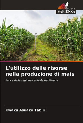L'utilizzo delle risorse nella produzione di mais
