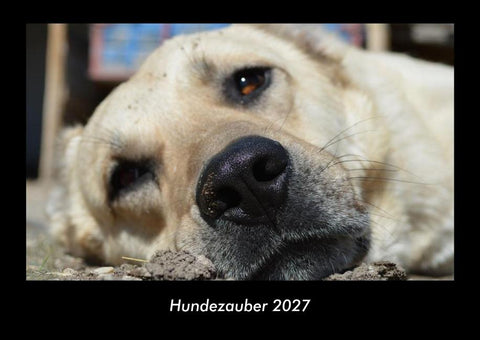 Hundezauber 2027 Fotokalender DIN A3