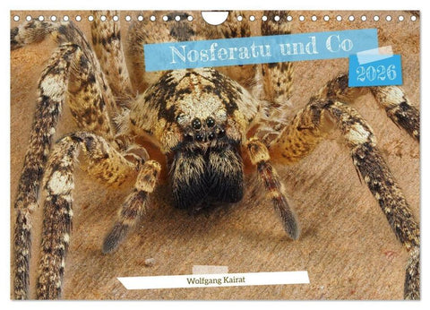 Nosferatu und Co. (Wandkalender 2026 DIN A4 quer), CALVENDO Monatskalender