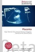 Placenta