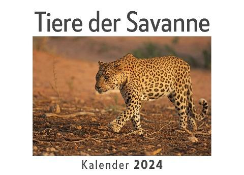 Tiere der Savanne (Wandkalender 2024, Kalender DIN A4 quer, Monatskalender im Querformat mit Kalendarium, Das perfekte Geschenk)