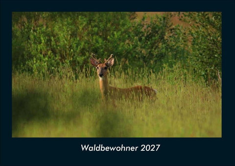 Waldbewohner 2027 Fotokalender DIN A4