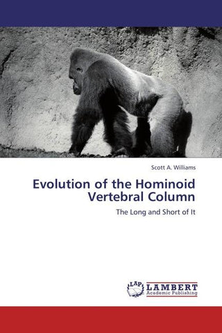 Evolution of the Hominoid Vertebral Column