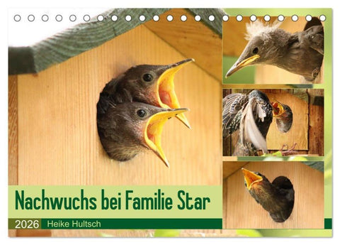 Nachwuchs bei Familie Star (Tischkalender 2026 DIN A5 quer), CALVENDO Monatskalender