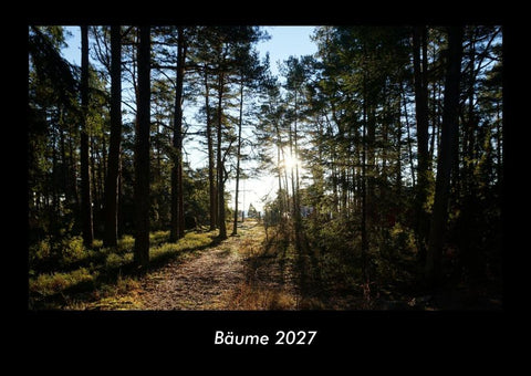 Bäume 2027 Fotokalender DIN A3