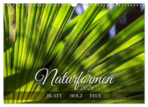 Naturformen, Blatt, Holz, Fels (Wandkalender 2026 DIN A3 quer), CALVENDO Monatskalender