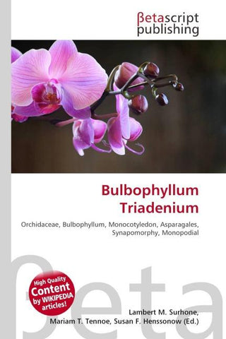 Bulbophyllum Triadenium