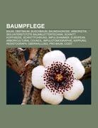 Baumpflege