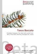 Taxus Baccata