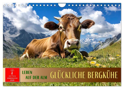 Glückliche Bergkühe - Leben auf der Alm (Wandkalender 2026 DIN A4 quer), CALVENDO Monatskalender