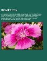 Koniferen