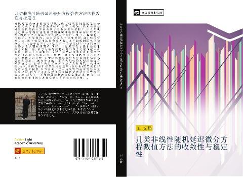 ji lei fei xian xing sui ji yan chi wei fen fang cheng shu zhi fang fa de shou lian xing yu wen ding xing
