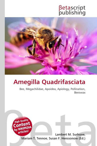 Amegilla Quadrifasciata